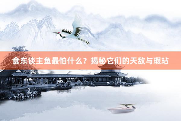 食东谈主鱼最怕什么？揭秘它们的天敌与瑕玷