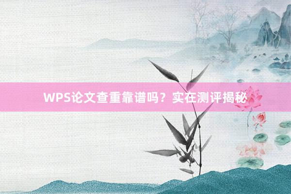 WPS论文查重靠谱吗？实在测评揭秘